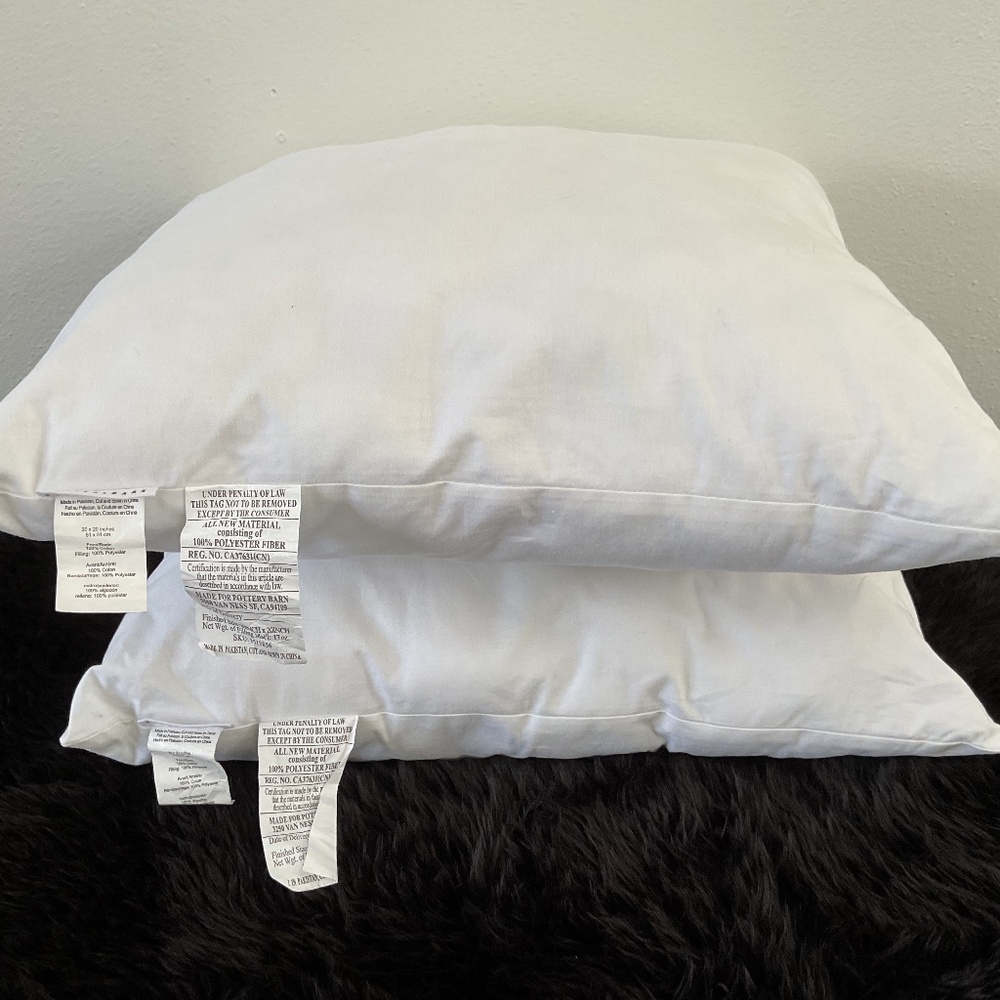 Pottery Barn Down Alternative 20”x20” White Throw Pillow Inserts Set of 2